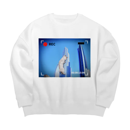 cat climbing a building Big Crew Neck Sweatshirt