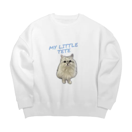 ててスウェット Big Crew Neck Sweatshirt
