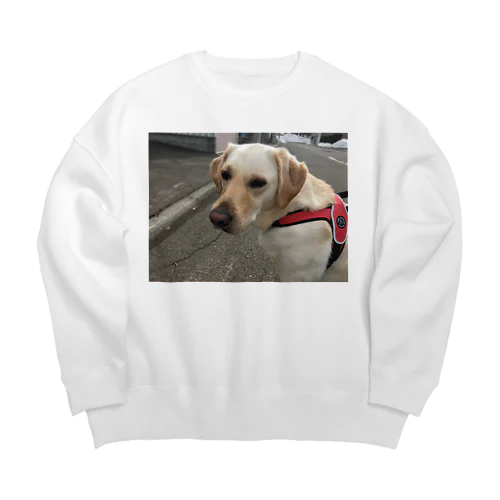 キャリアチェンジ　アルちゃん Big Crew Neck Sweatshirt