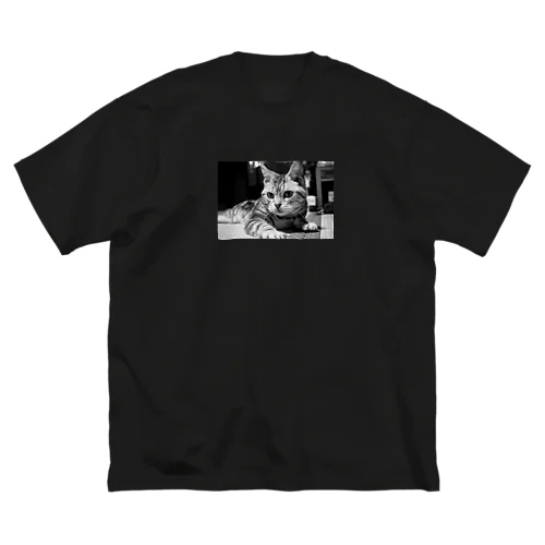 サラちゃん3 Big T-Shirt