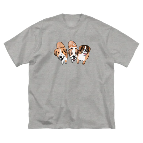 アンジンボウ（Bタイプ） Big T-Shirt