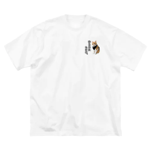 元野良猫チャチャ Big T-Shirt