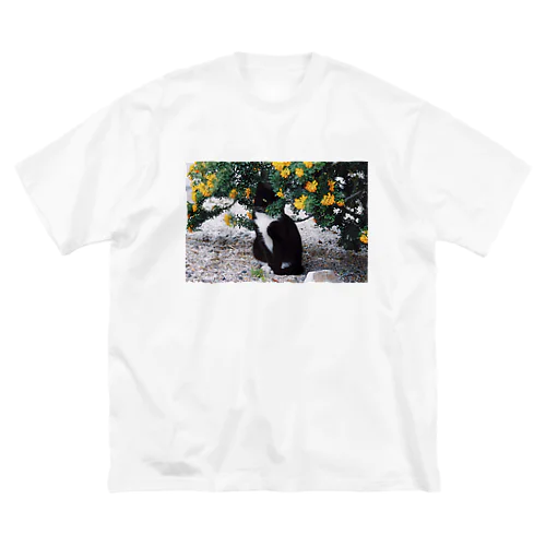 猫 サントリーニ島にて Big T-Shirt