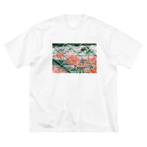 影だけ持ち帰らせて Big T-Shirt