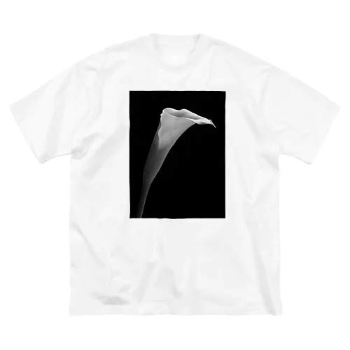 モノクロ屋 カラー Big T-Shirt