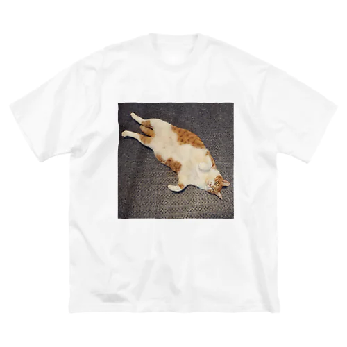 アザラシ猫 Big T-Shirt