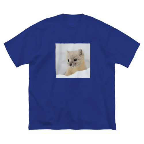 【心とカラダの栄養】サロベツのエゾクロテン Big T-Shirt
