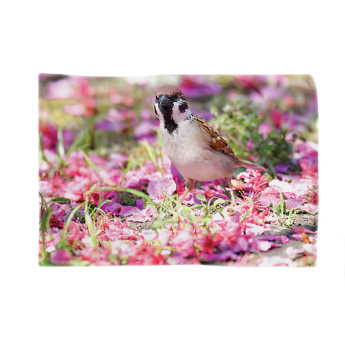 桜の絨毯 Blanket
