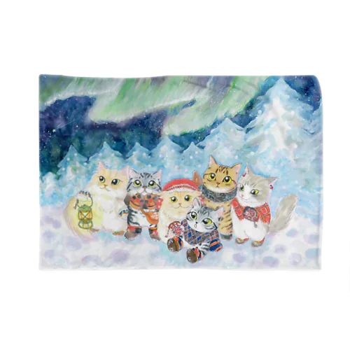 ニャンズ旅行記🇫🇮フィンランド Blanket