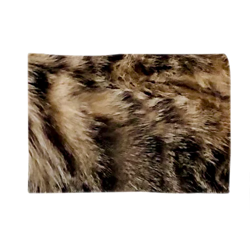キジトラ毛ブランケット Blanket