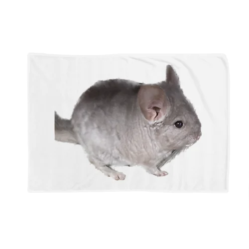 チンチラの望君 Blanket