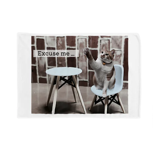 Excuse me … Blanket