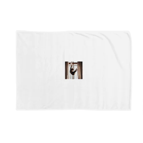 カーテンにつかまっているネコ Blanket