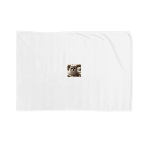 困り顔が愛らしいスコッティッシュフォールド Blanket