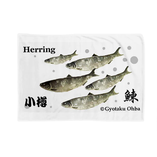 ニシン！ 小樽（鰊；HERRING；群雄）あらゆる生命たちへ感謝をささげます。※価格は予告なく改定される場合がございます。 Blanket
