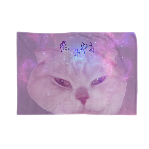 コスモス Blanket