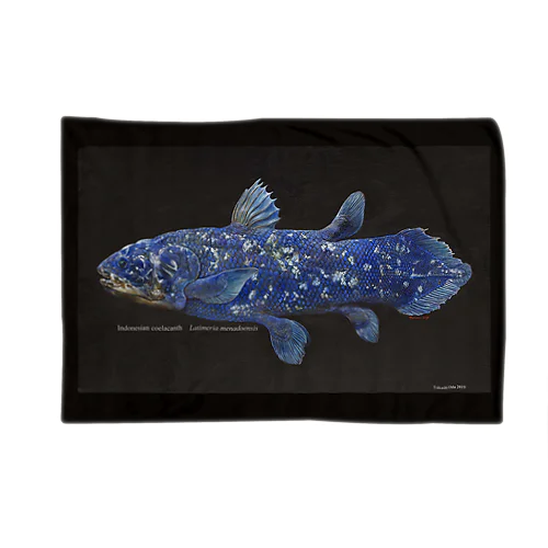 インドネシアシーラカンス油彩 Blanket