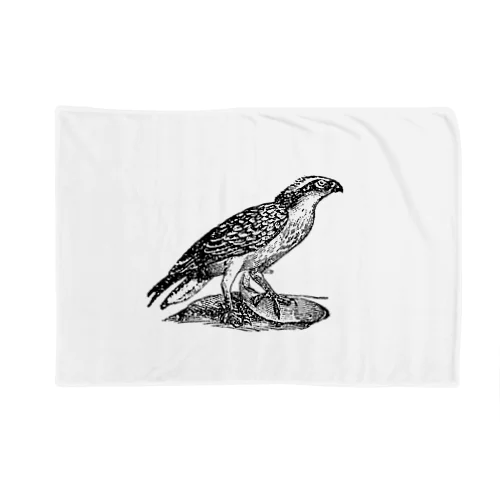 鳥T Blanket