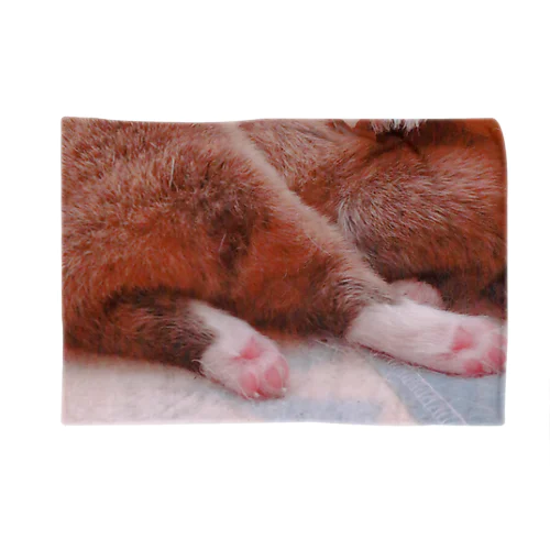 赤ちゃんコーギーのおしり Blanket