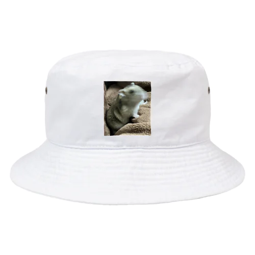 挟まったBaby Bucket Hat