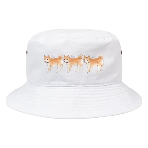 しばいぬらい薄め3匹 Bucket Hat