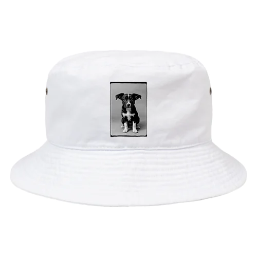 犬 Bucket Hat
