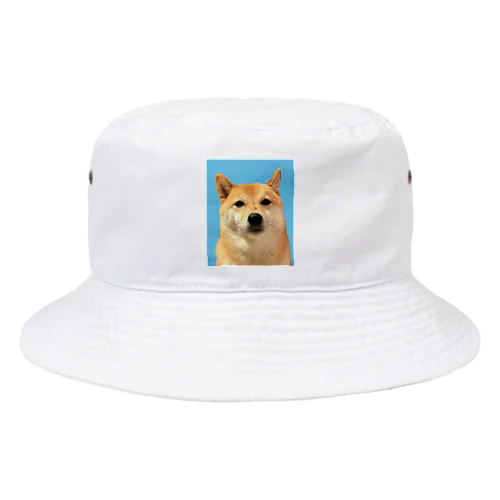 豆柴ぴょん子（７） Bucket Hat