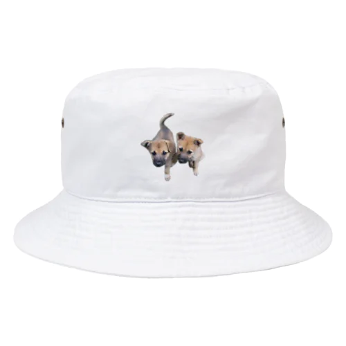リカオン姉妹 Bucket Hat