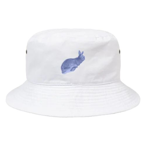 usau Bucket Hat