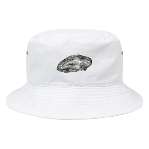 サケビクちゃん２ Bucket Hat