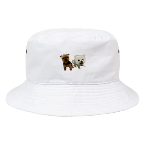 2匹 Bucket Hat
