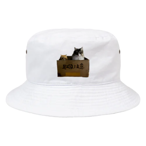 取扱注意猫 Bucket Hat
