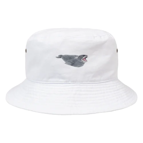 ヒョウアザラシ Bucket Hat