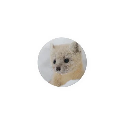 【心とカラダの栄養】サロベツのエゾクロテン Tin Badge