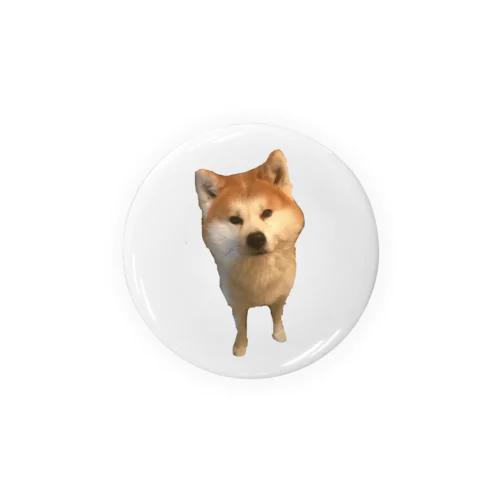 秋田犬 Tin Badge