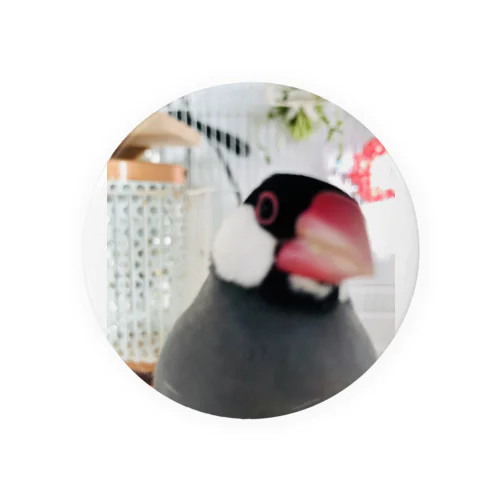 ドヤ文鳥 Tin Badge