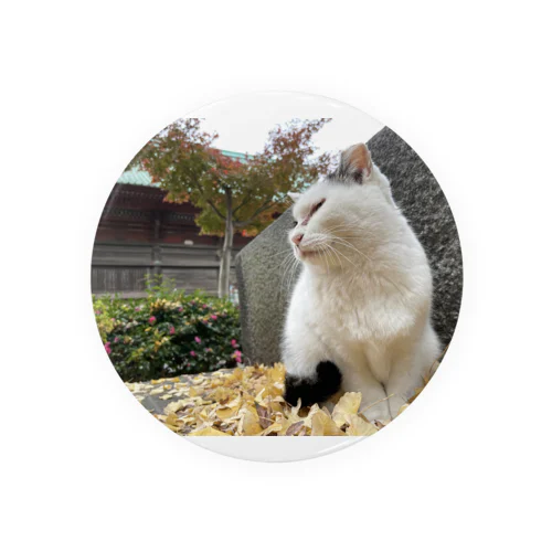 秋のひととき Tin Badge