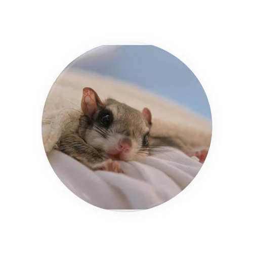 アメリカモモンガのカノン Tin Badge