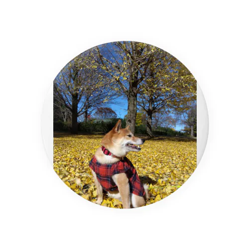 柴犬　秋イチョウ並木 Tin Badge
