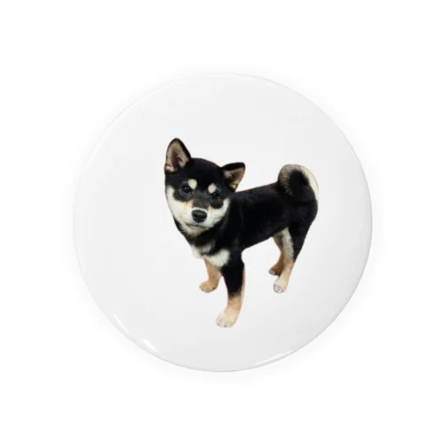 黒柴　ルー君 Tin Badge