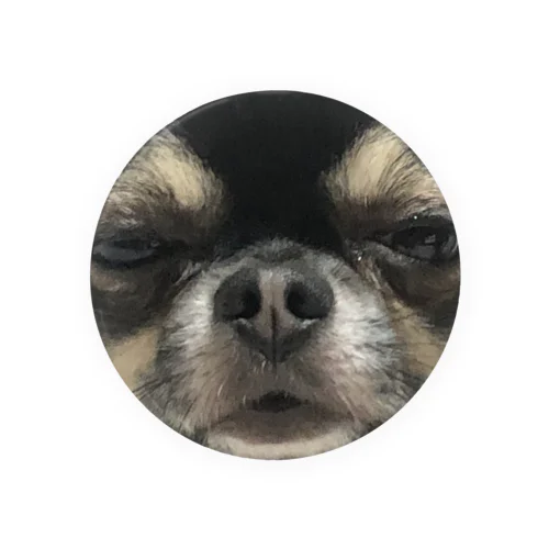 遠い目をしているチワワ Tin Badge