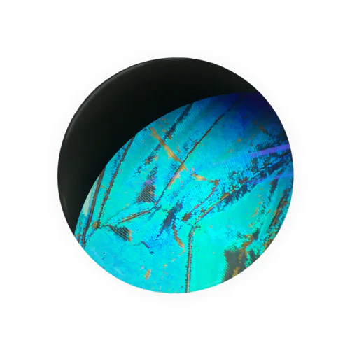 モルフォ蝶 Tin Badge