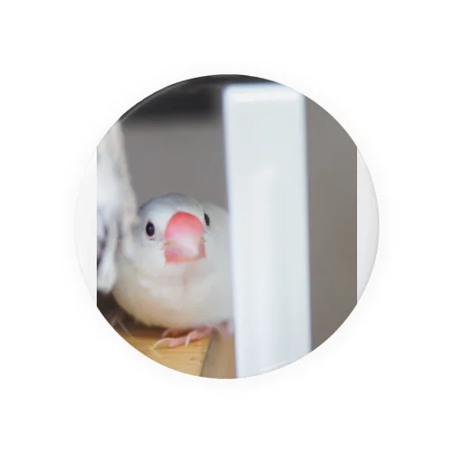 てのひら文鳥もんちゃん Tin Badge