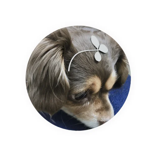 幸せ運ぶ犬 Tin Badge