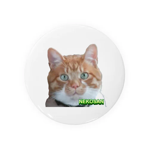 ひょっこり猫さんCOL. Tin Badge