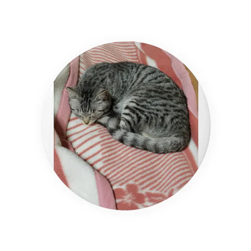 実家の猫 Tin Badge
