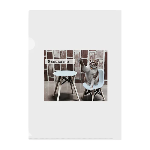 Excuse me … Clear File Folder