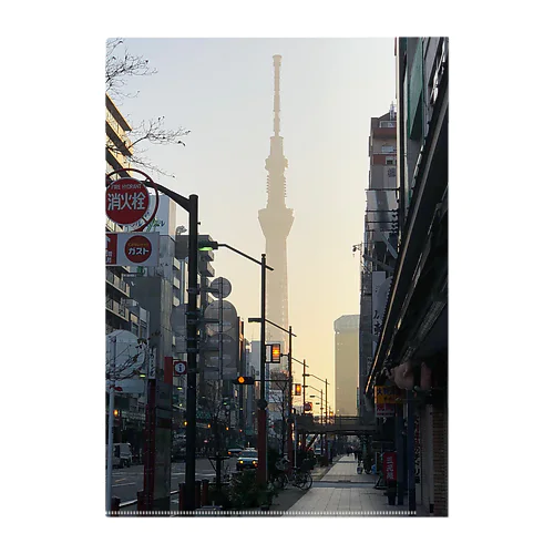 p-dog in Tokyo Clear File Folder