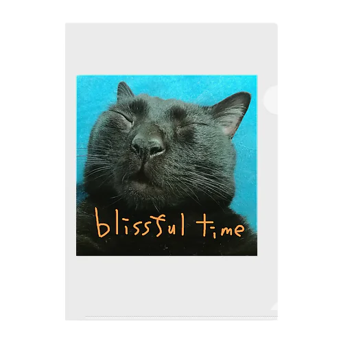 MoJaKo Clear File Folder