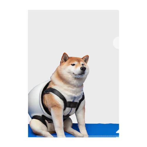 太り過ぎの柴犬 Clear File Folder